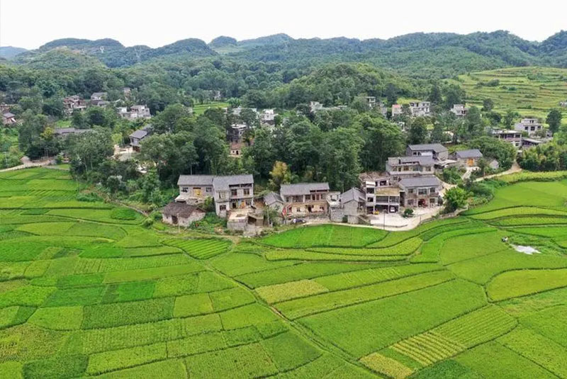 美麗鄉村